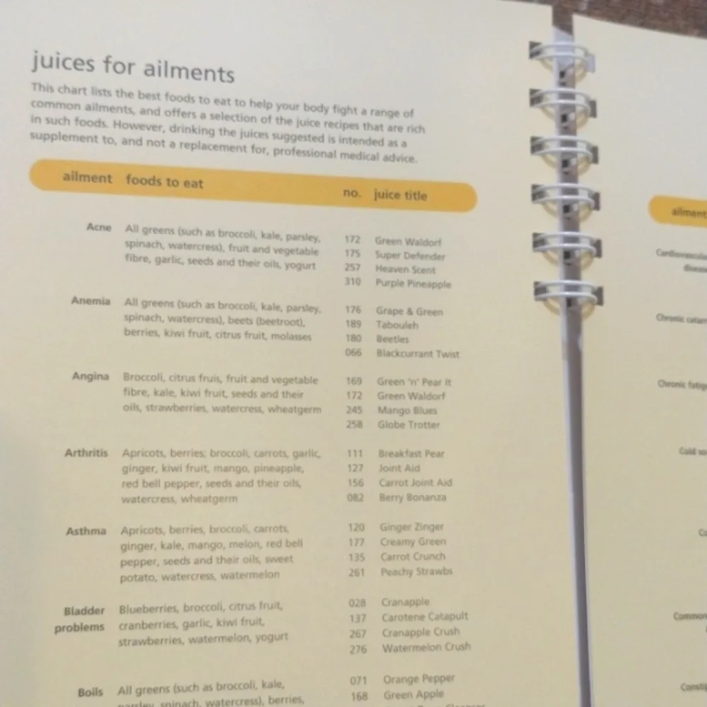 The Big Book Of Juices And Smoothies